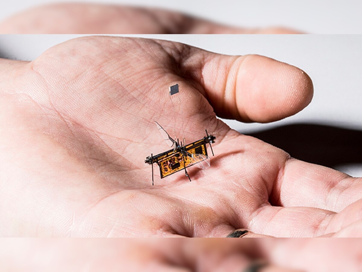 Researchers including 3 Indians build world's 1st wireless insect-sized drone in US