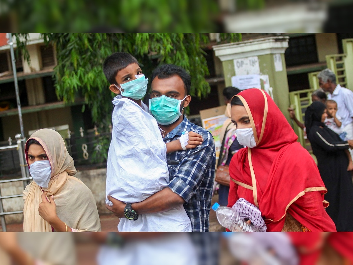 Nipah virus: Samples of fruit-eating bats to be sent for testing