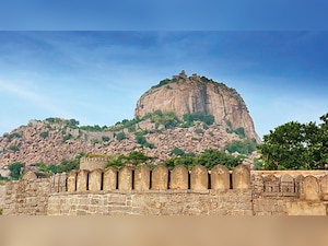 Raja Tej Singh: Rajput Soldier and Tamil Hero