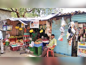 Mumbai: 91-yr-old dies after branch falls on her
