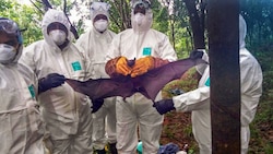 Nipah Virus claims two more lives, death toll rises to 16 in Kerala