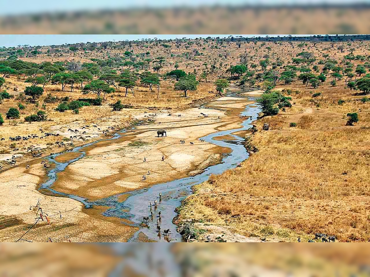 Scheme can’t cater to water needs of even 10% of Gujarat: Former CM Suresh Mehta