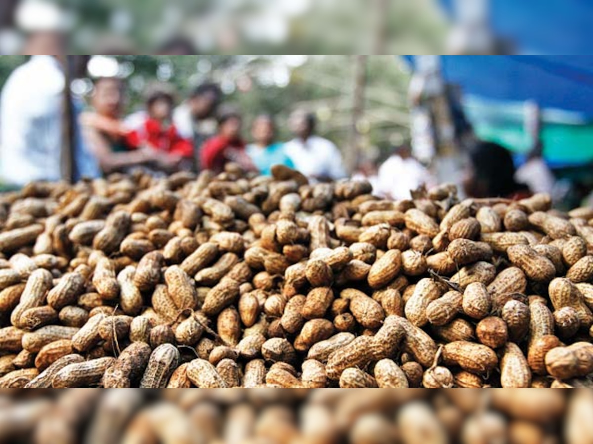 Gujarat responsible for irregular nut MSP: NAFED