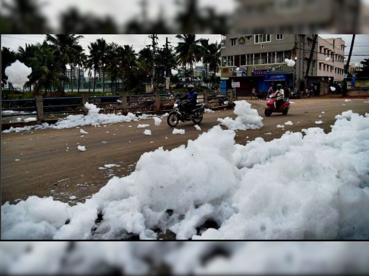 NGT report says Bellandur lake has become largest septic tank of Bengaluru; blames Karnataka govt, its agencies