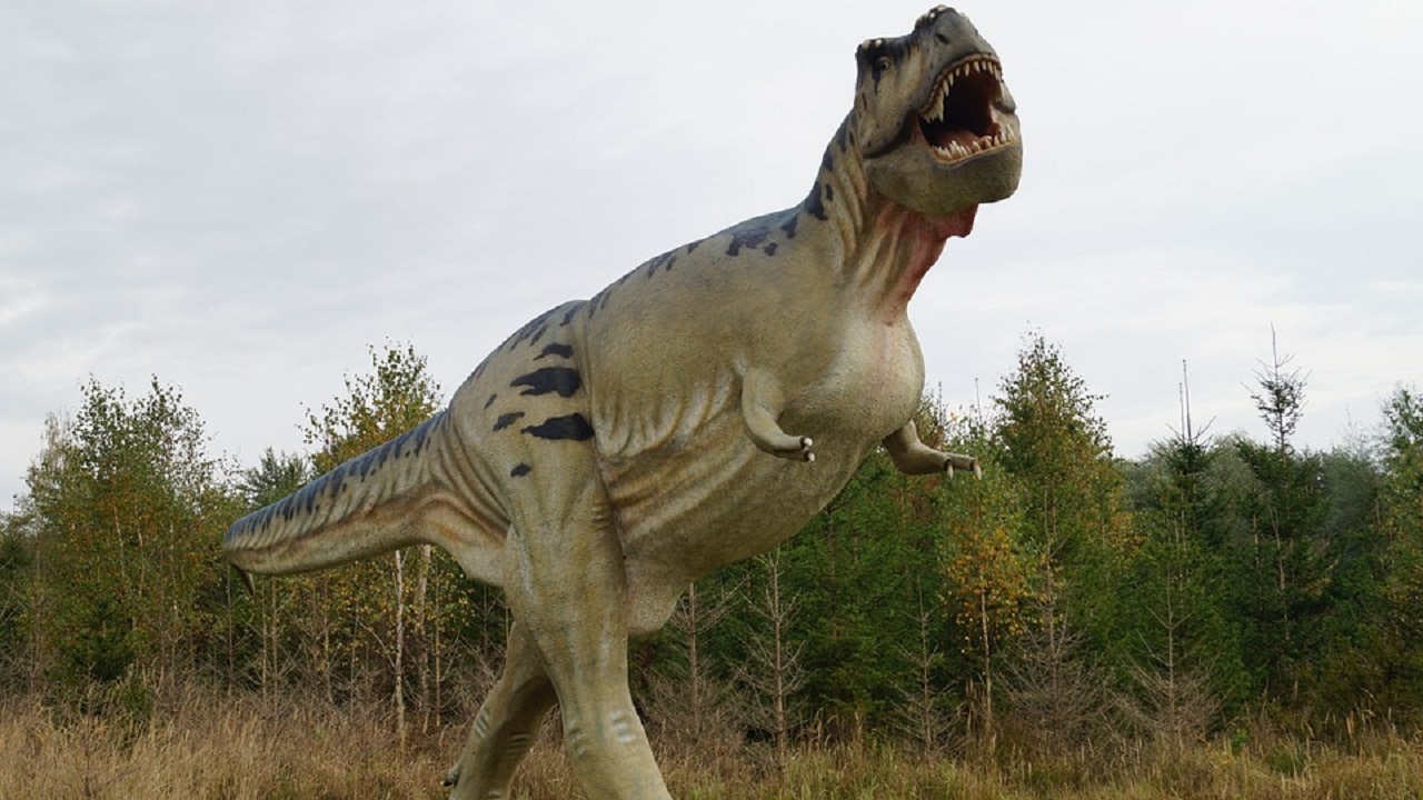 T. Rex could not stick out its tongue, shows new research