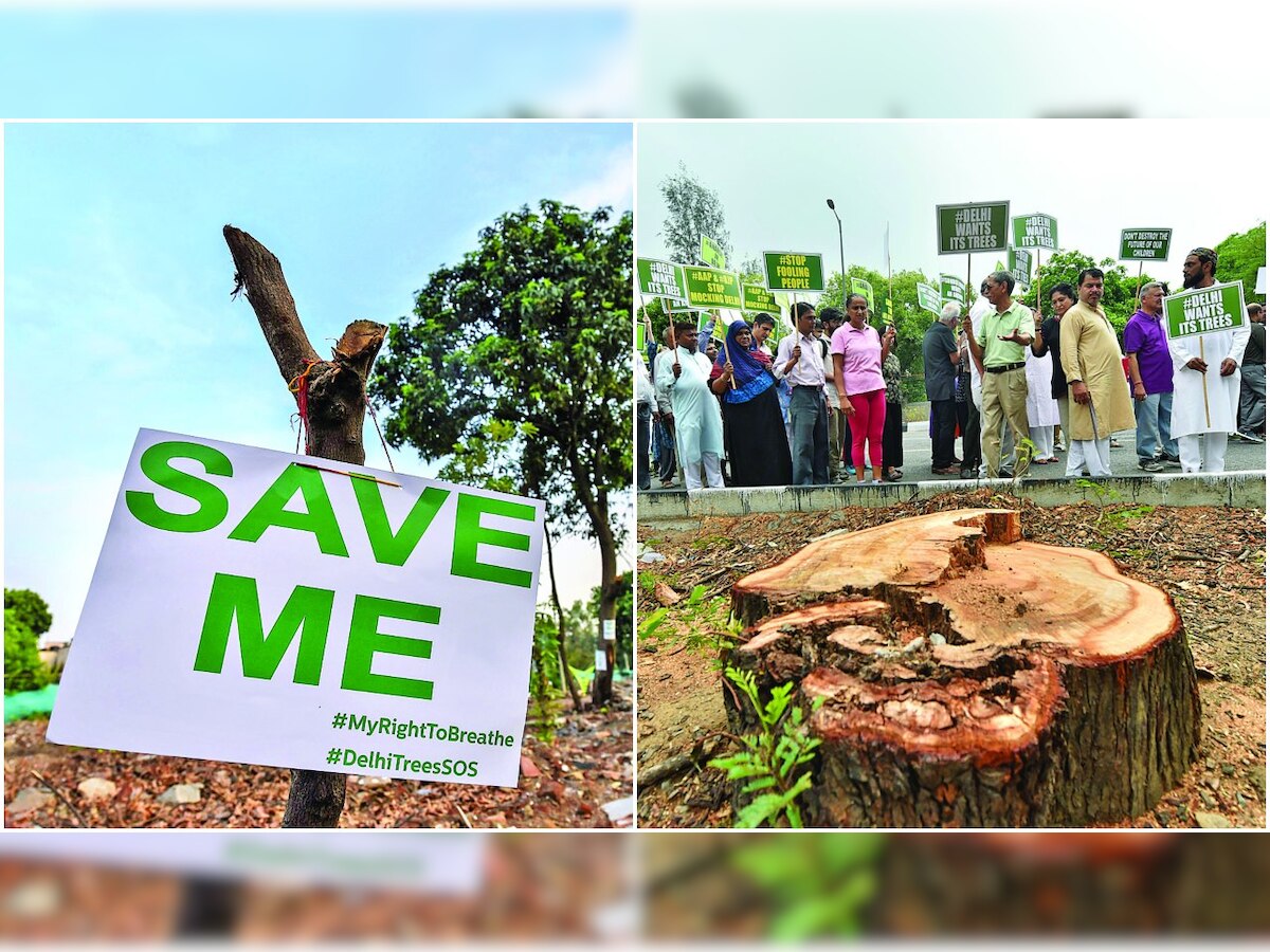 Musical protest against felling of trees in National Capital