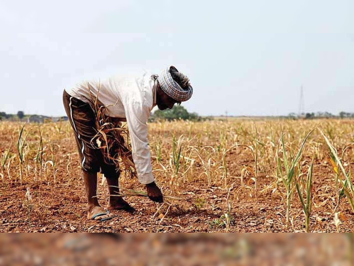 Rajasthan government bats for nanotechnology to better farming sector 