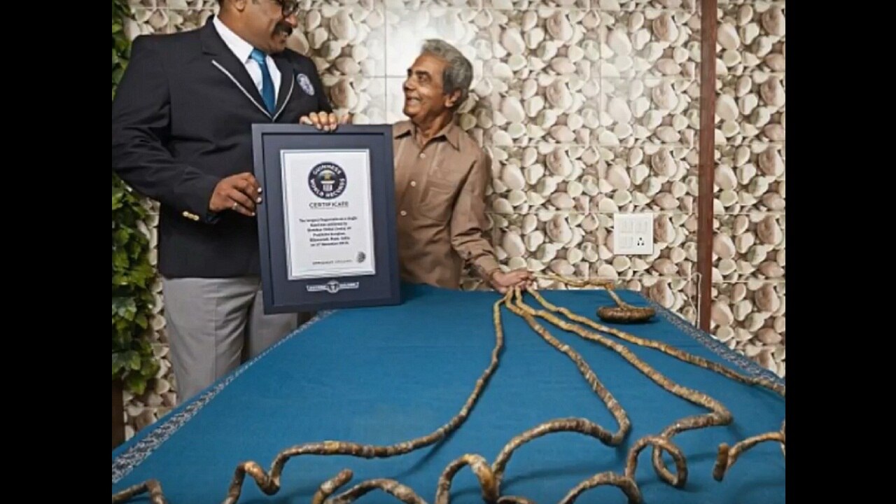 Woman Earns A Place In Guiness World Records For Having The Longest Finger  Nails - Beta Tinz