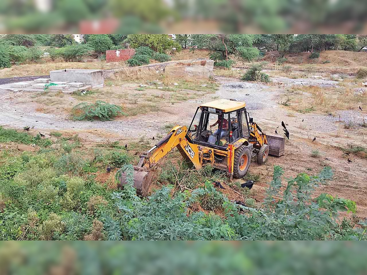 Ahmedabad: With 500 saplings, a 'green' dream blooms near Vasna Barrage