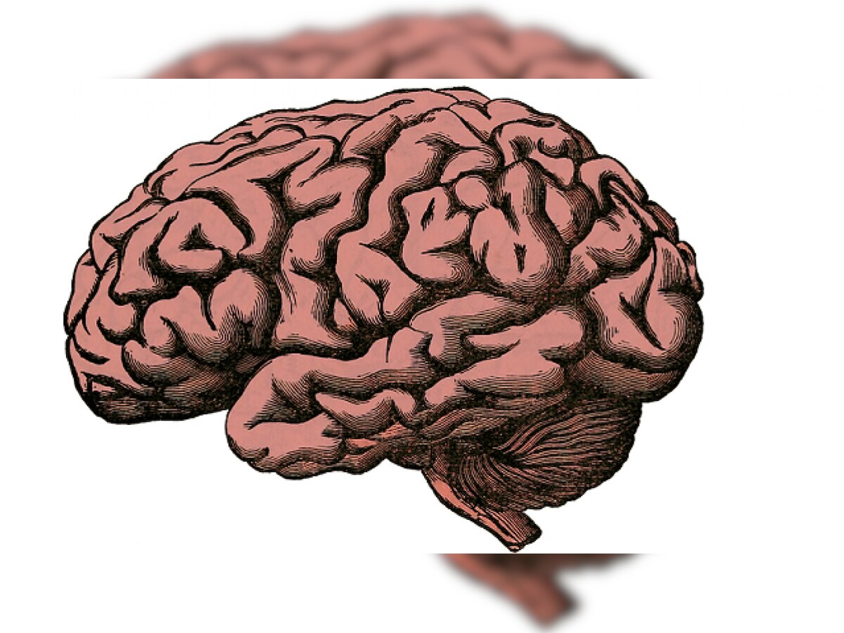 Exercise increases brain connectivity, efficiency