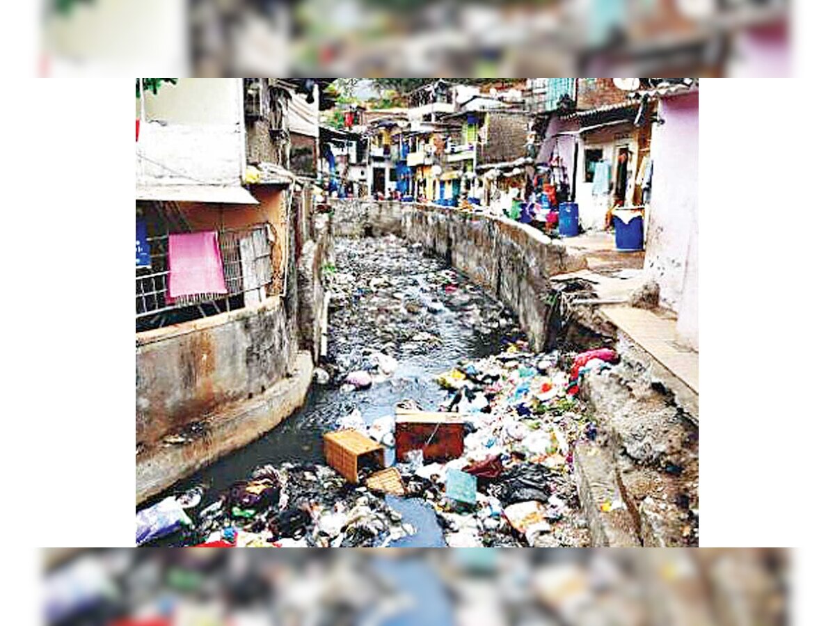 DNA RAIN CHECK: Thane locals mostly stay above water, want pest control done