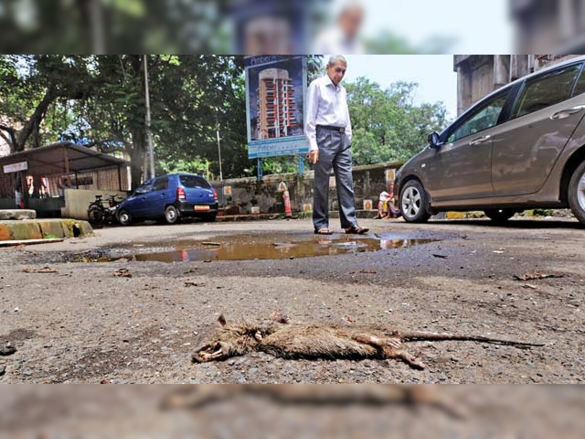 One more leptospirosis death, toll rises to four in Mumbai