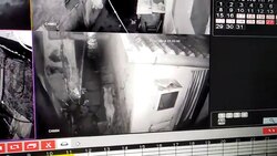 CCTV installed to catch thieves in Aarey Milk Colony captures leopard