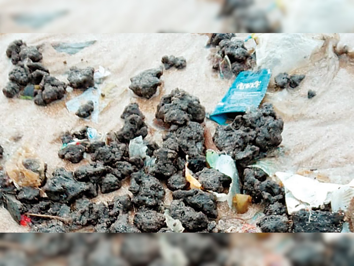 Mumbai: Tar balls washed up at Juhu beach