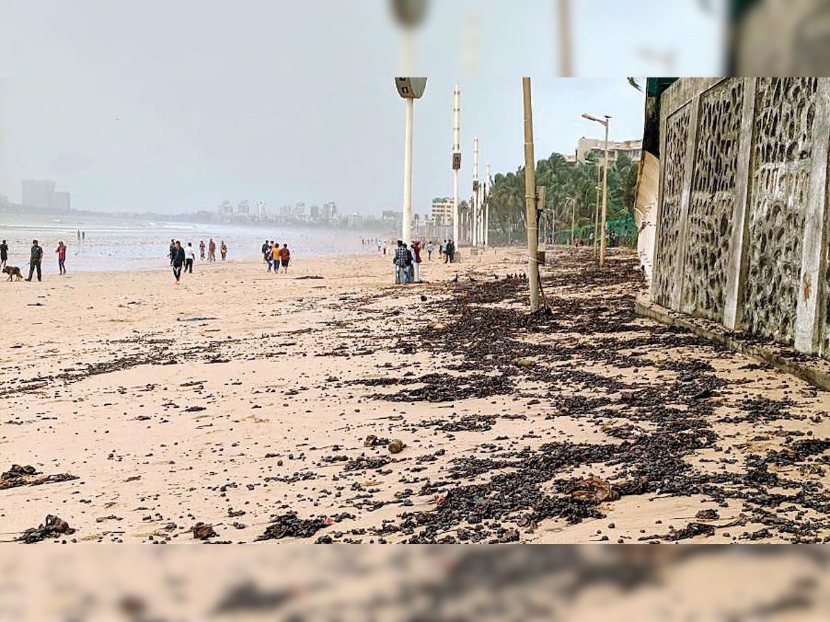 Mumbai: Find source of oil spill affecting Juhu beach, says Residents