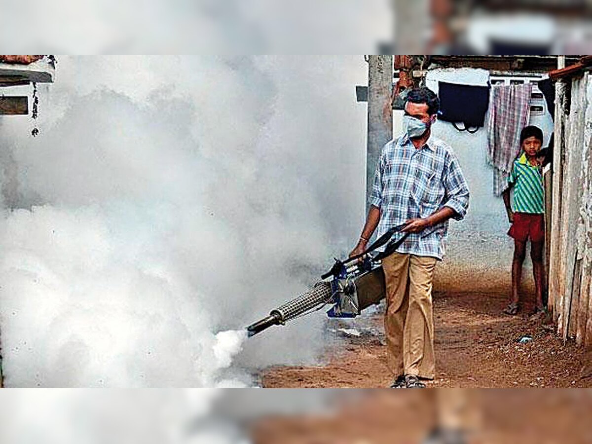 Dengue cases rise to 79 in first two weeks of August in Mumbai