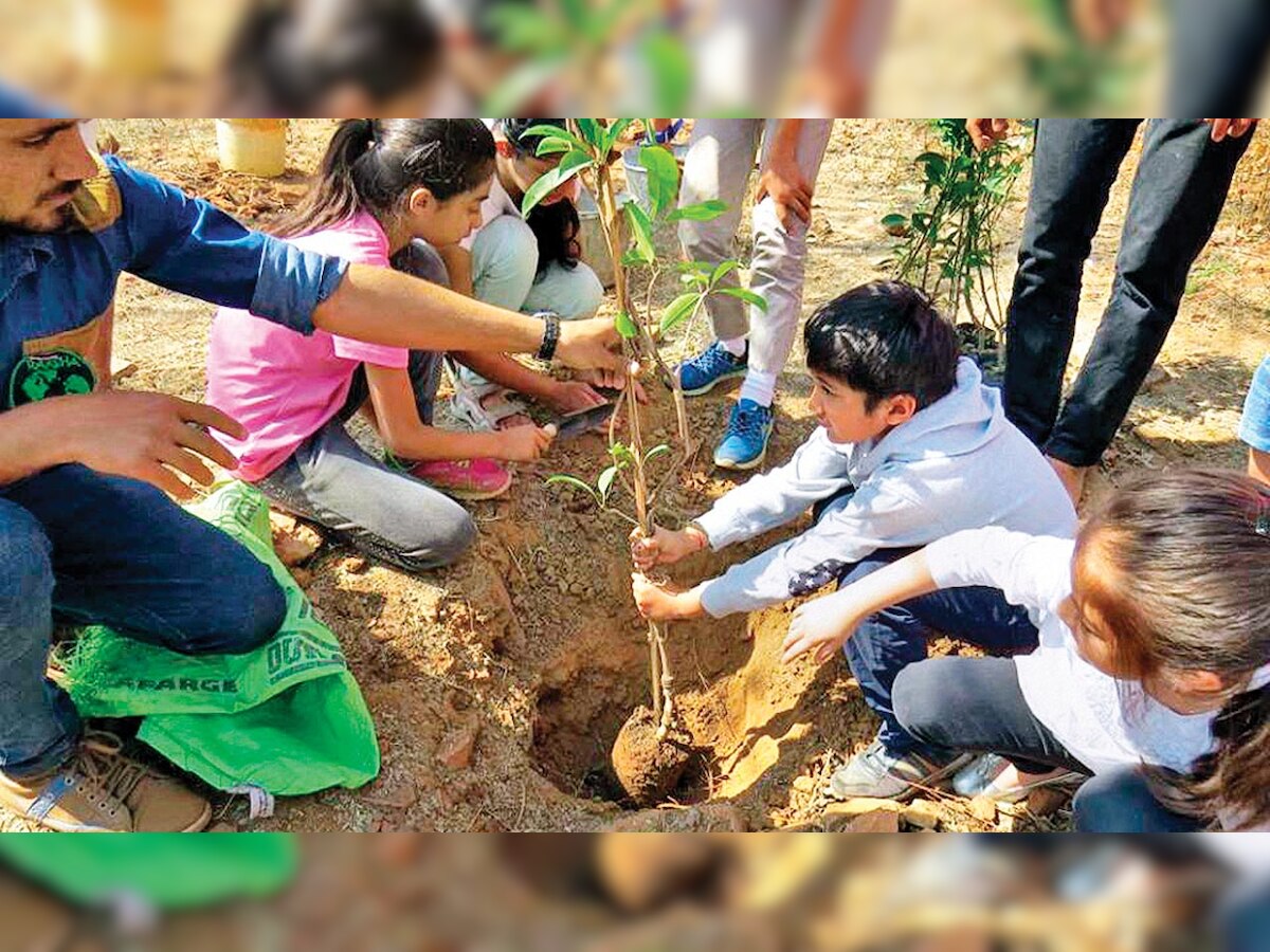 Another meeting to track plantation drive plan in National Capital