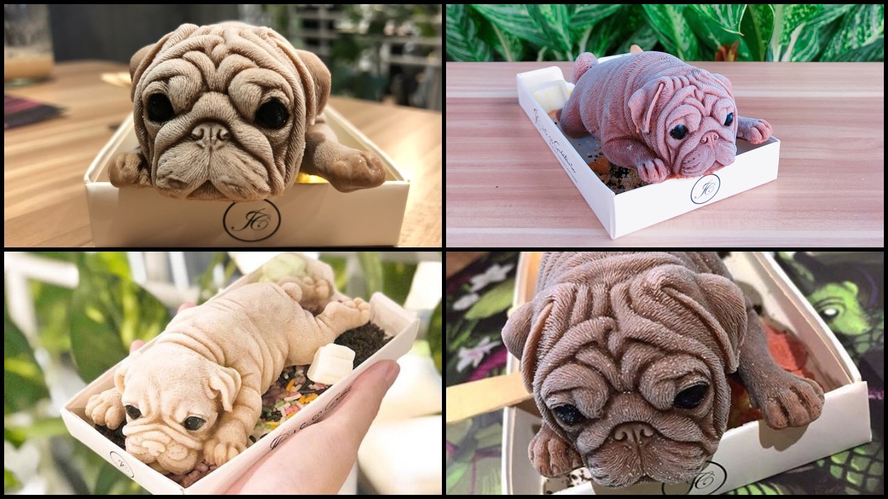 Puppy shaped ice cream dessert has divided Internet over limits of savagery