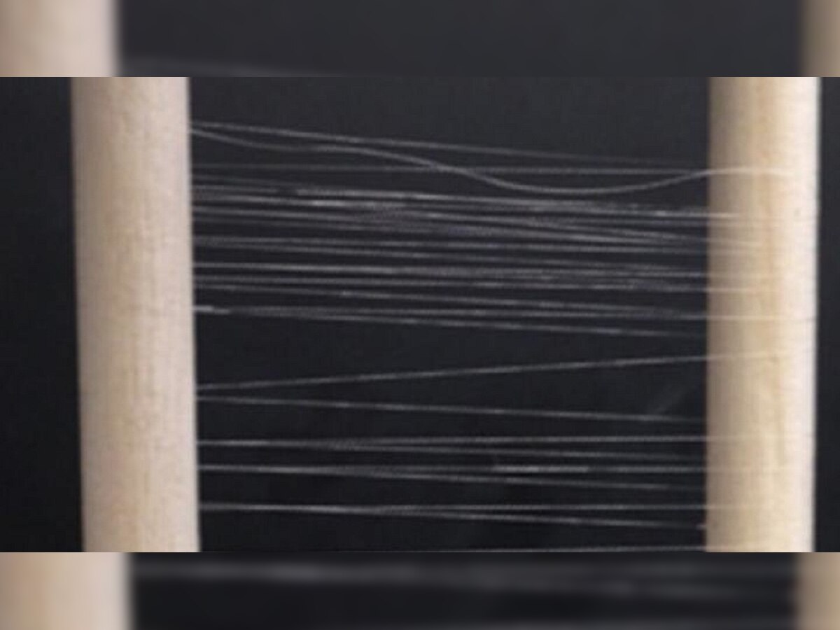Developed Bacteria that produces biosynthetic spider silk