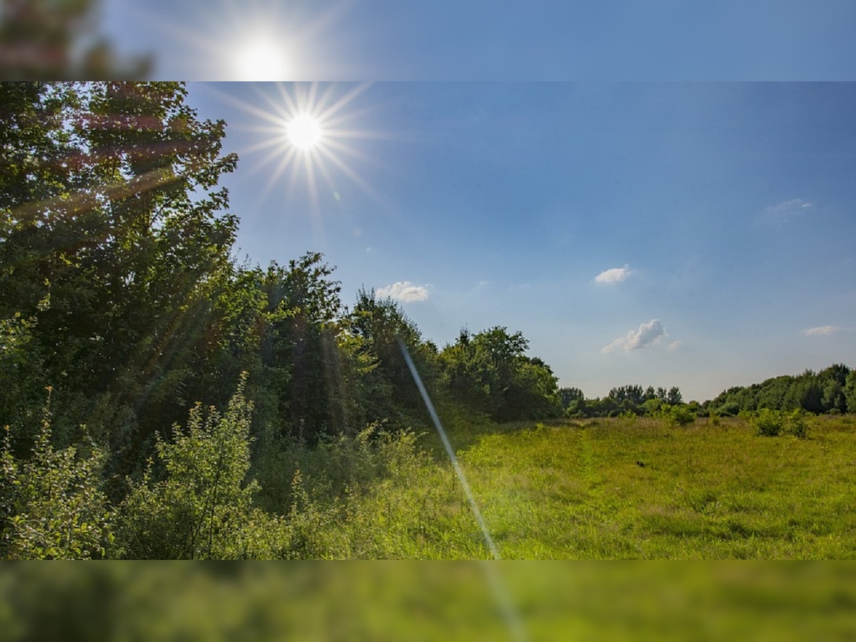 Scientists find new way to turn sunlight into fuel: Here's how