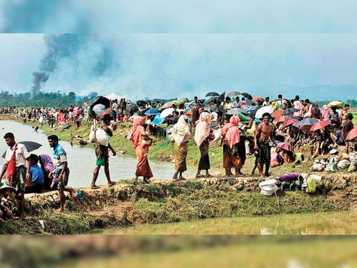 West Bengal govt 'slightly friendly' towards Rohingya: BSF