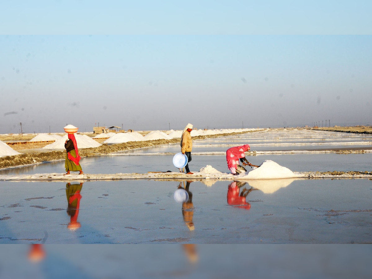 Swadesh Darshan scheme shaping Sambhar Lake into tourism site