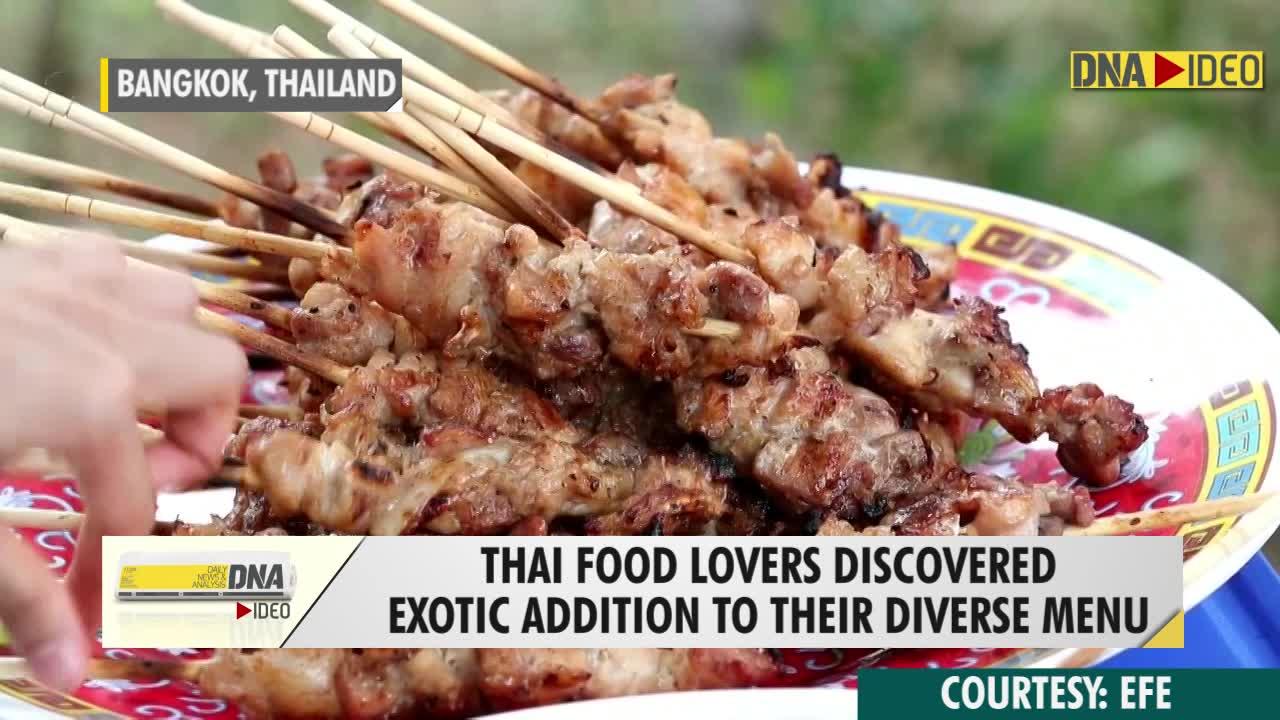 Thai foodies discover tasty grilled crocodile meat at roadside barbecue ...