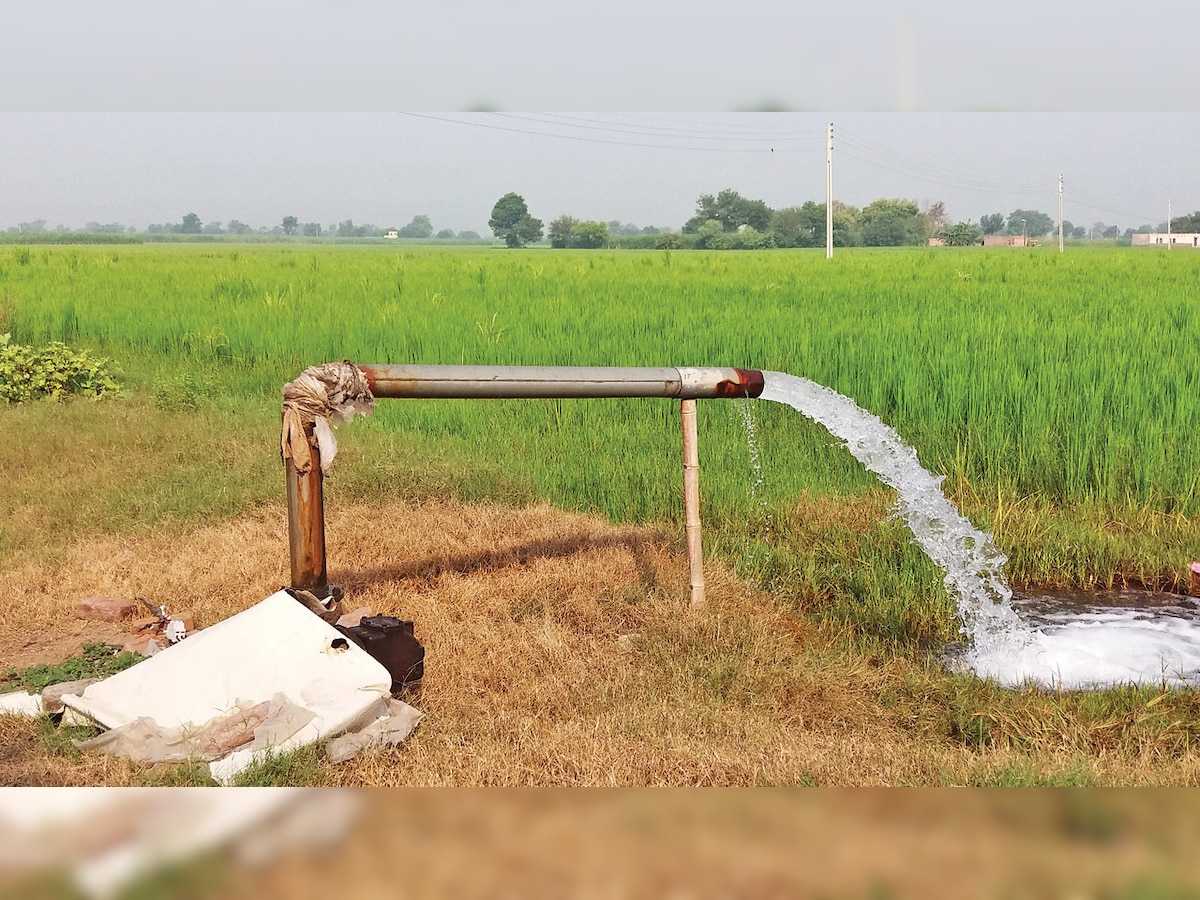 Maharashtra government to tax excess water users