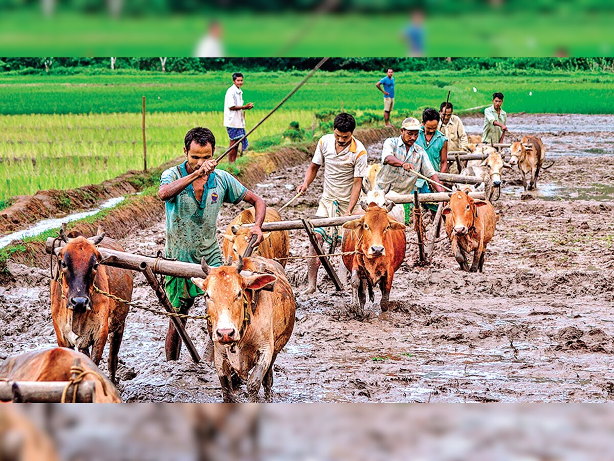 Maharashtra government, Tata Trust join hands to compile farming data