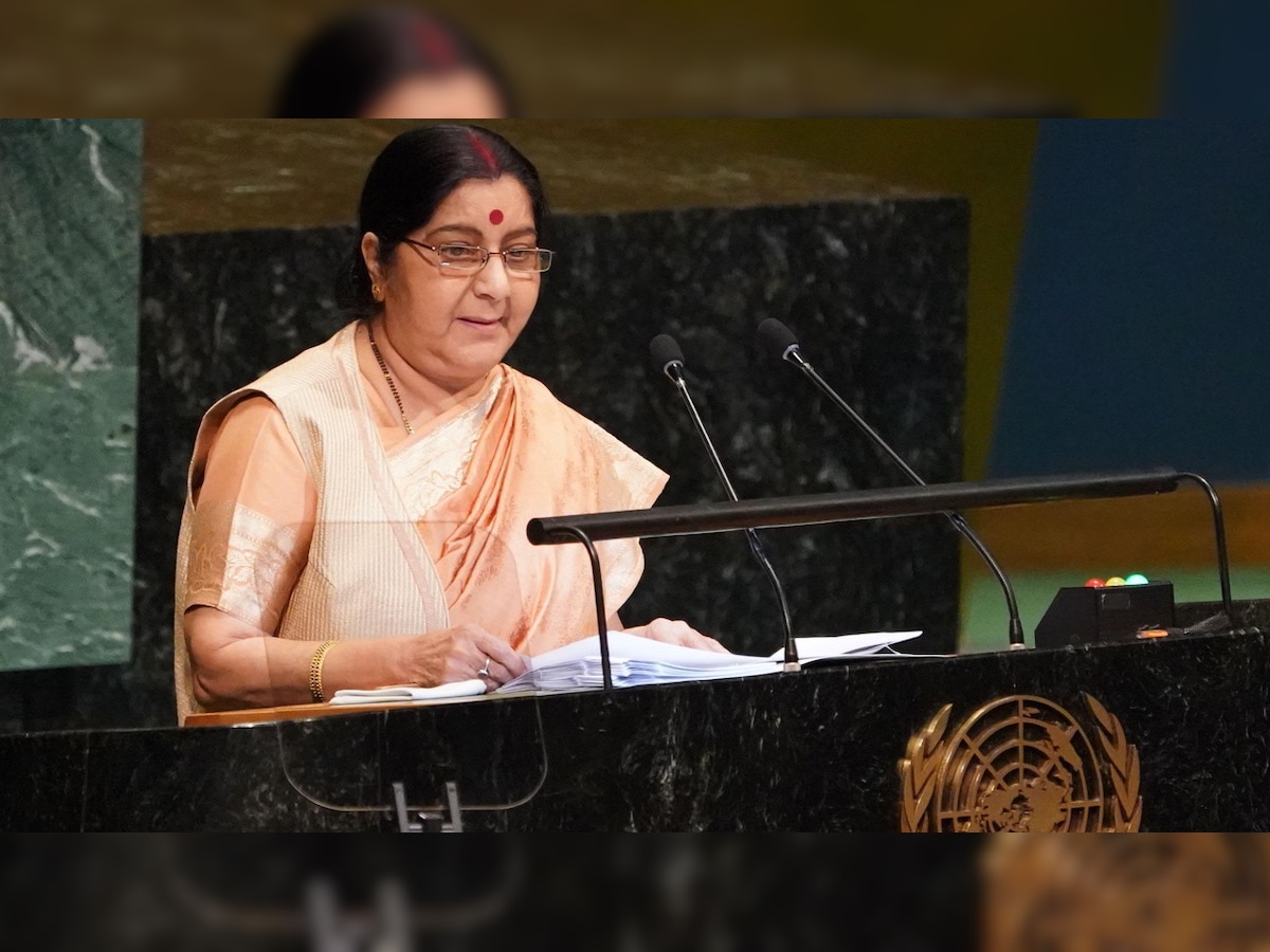 Totally agree with Sushma Swaraj: Cong leader Jaiveer Shergill praises her UNGA speech