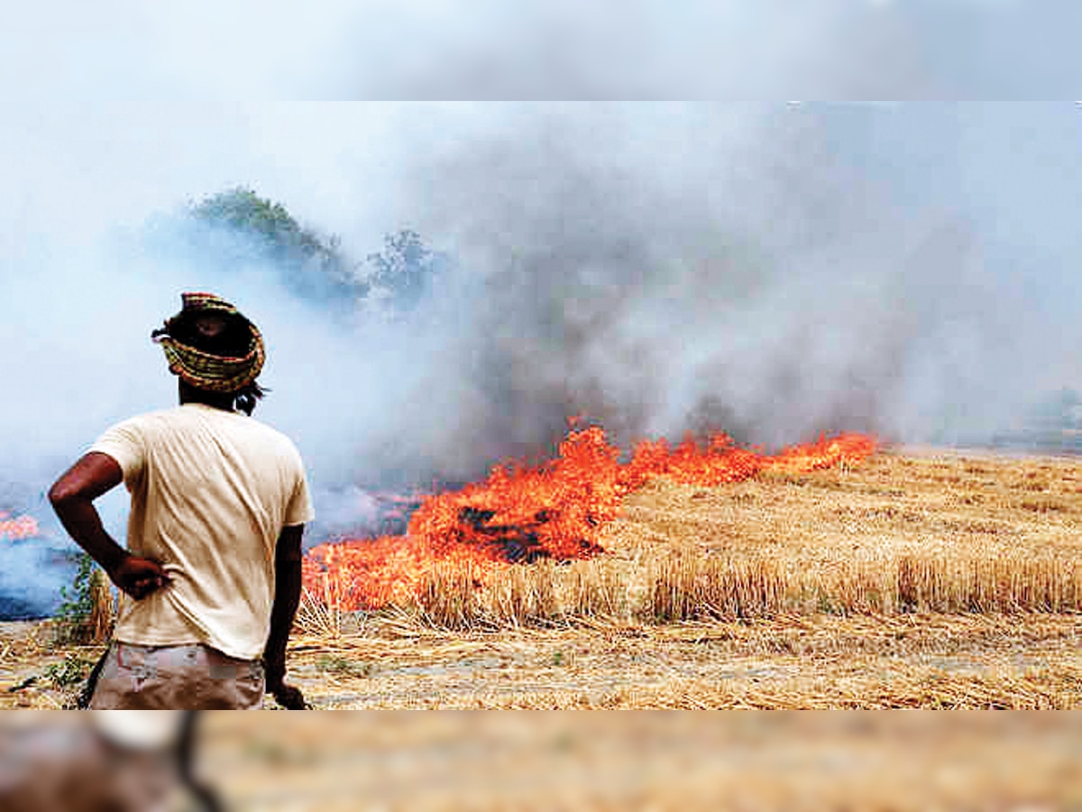 Delhi government may be forced to take harsh steps if stubble burning is not curbed