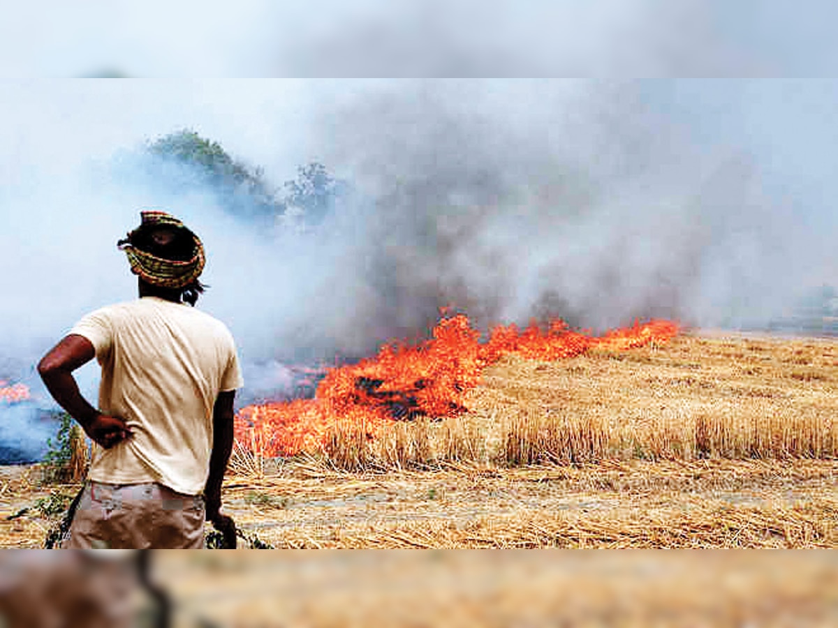 Inform steps taken by other states over stubble burning: Environment Minister Imran Hussain asked Central government