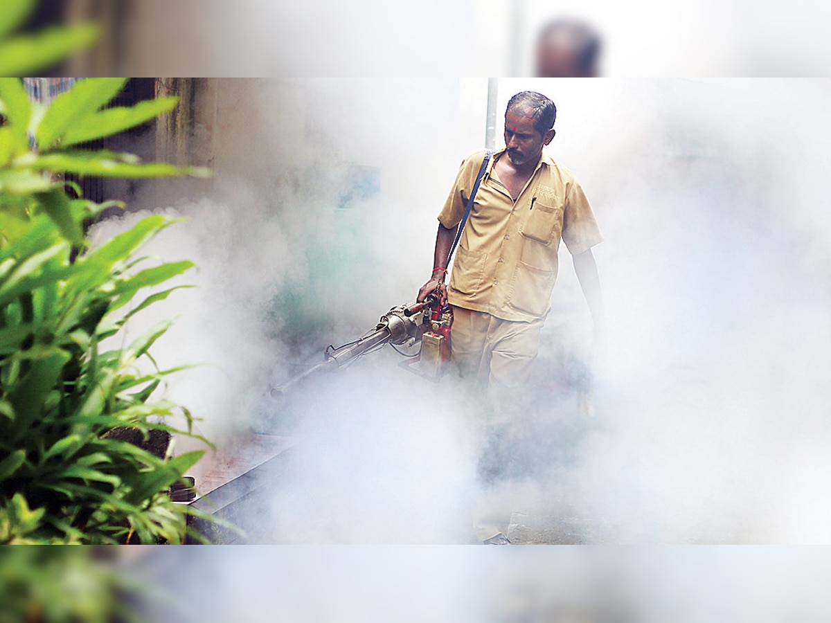 Mumbai: Spike in malaria, dengue cases has doctors worried