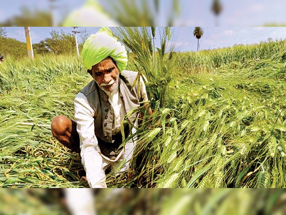 Purchase of agricultural produces at MSP starts in Gujarat