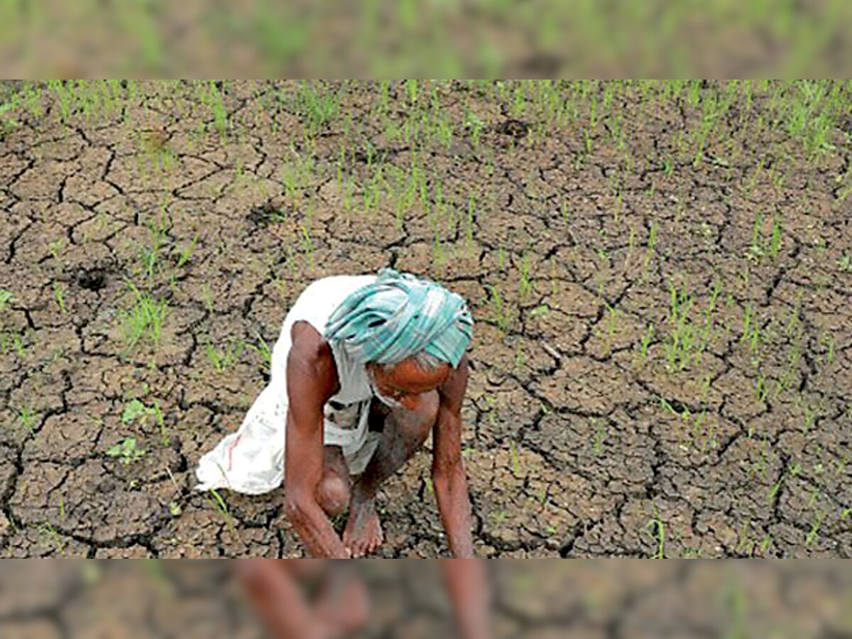 Rajasthan: Farmers agitated with govt’s online moong purchase strategy that closed within 2 days