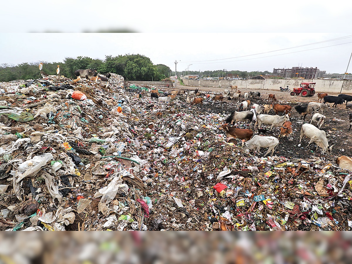 Getting Taloja land in Navi Mumbai to dispose of garbage a distant dream for BMC