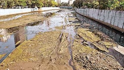 Citizens' group to work on refilling Mumbai's river