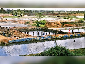 Fisheries industry gets a Rs 7,522 crore boost