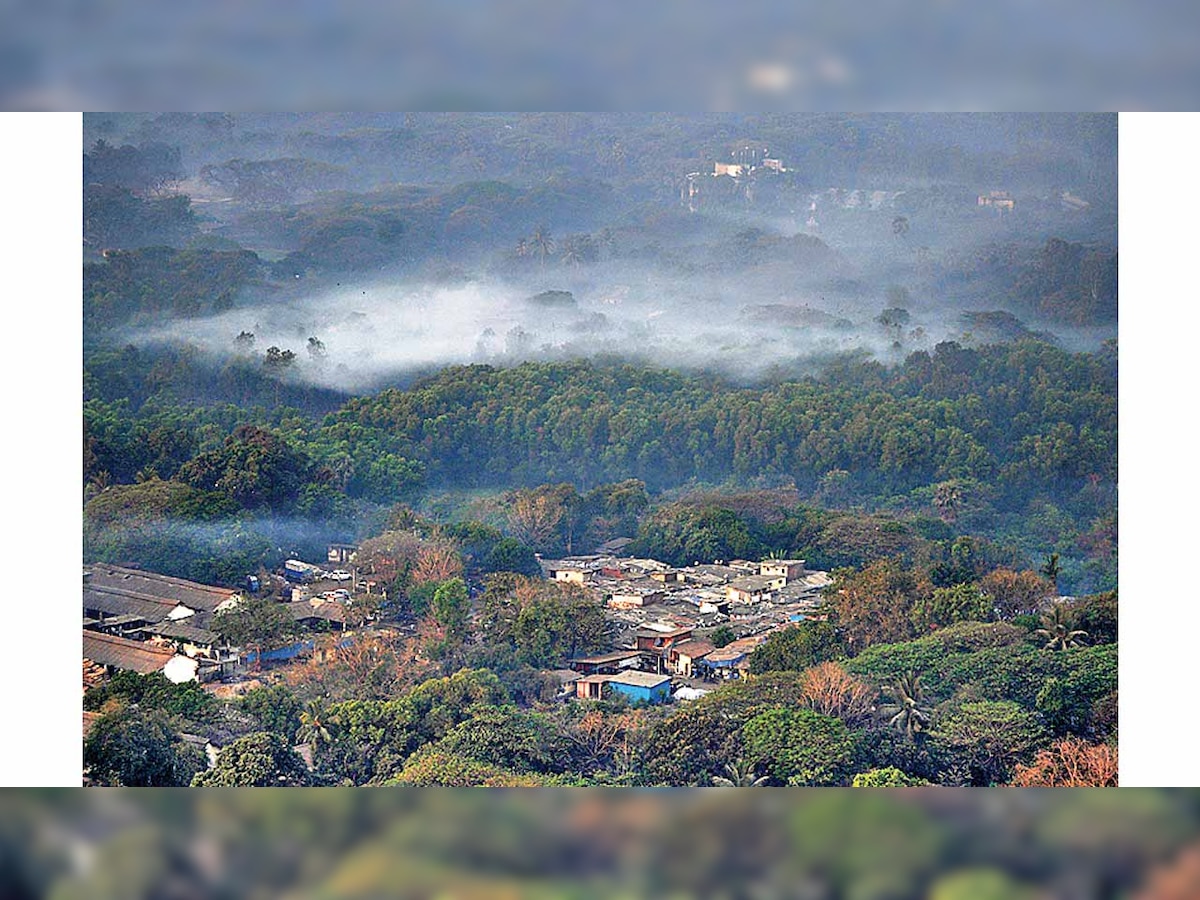 Bombay High Court turns down plea against Metro carshed construction at Aarey Colony