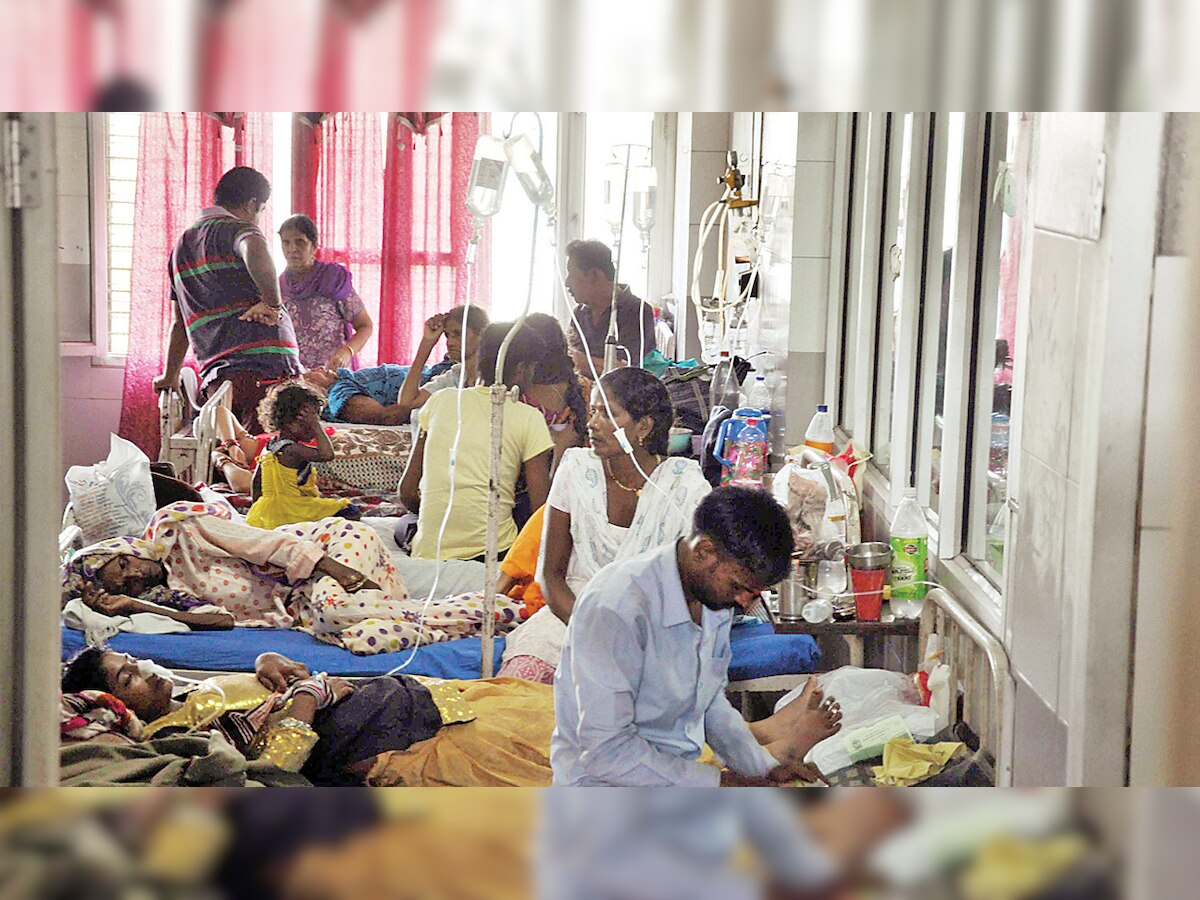 Mumbai: Three including child died of dengue and malaria in October