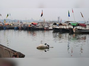 Jamshedpur: 'Mission Gange' - Over 55 tons of garbage and waste removed from river