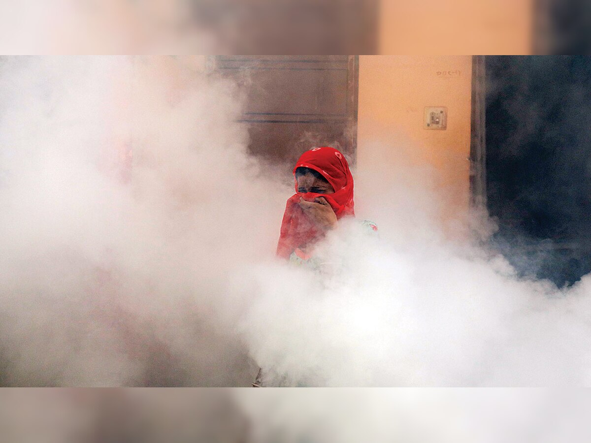 Dengue cases continue to rise, 600 cases in last two weeks across National Capital