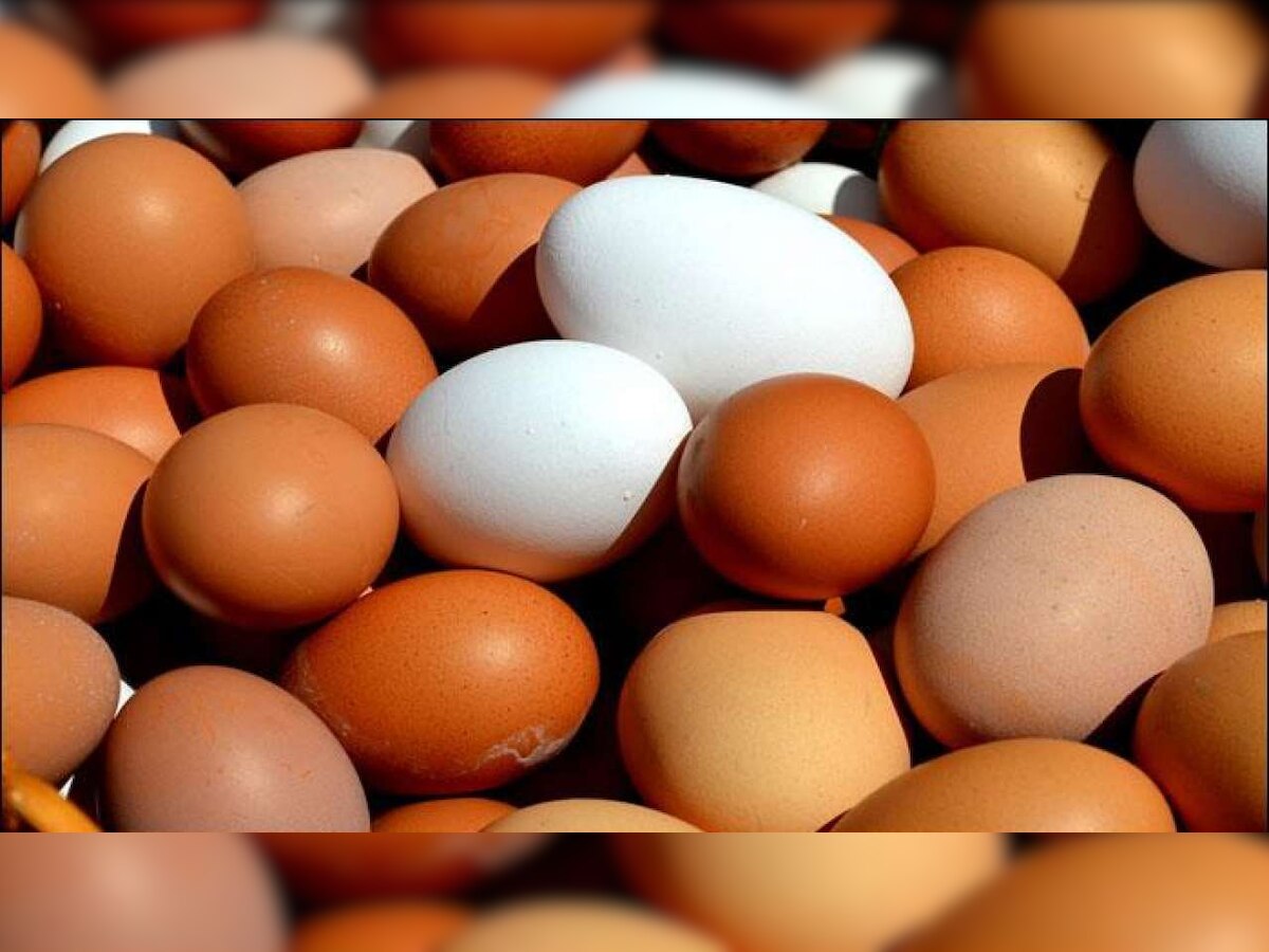 Price of eggs surge in city as demand spurts