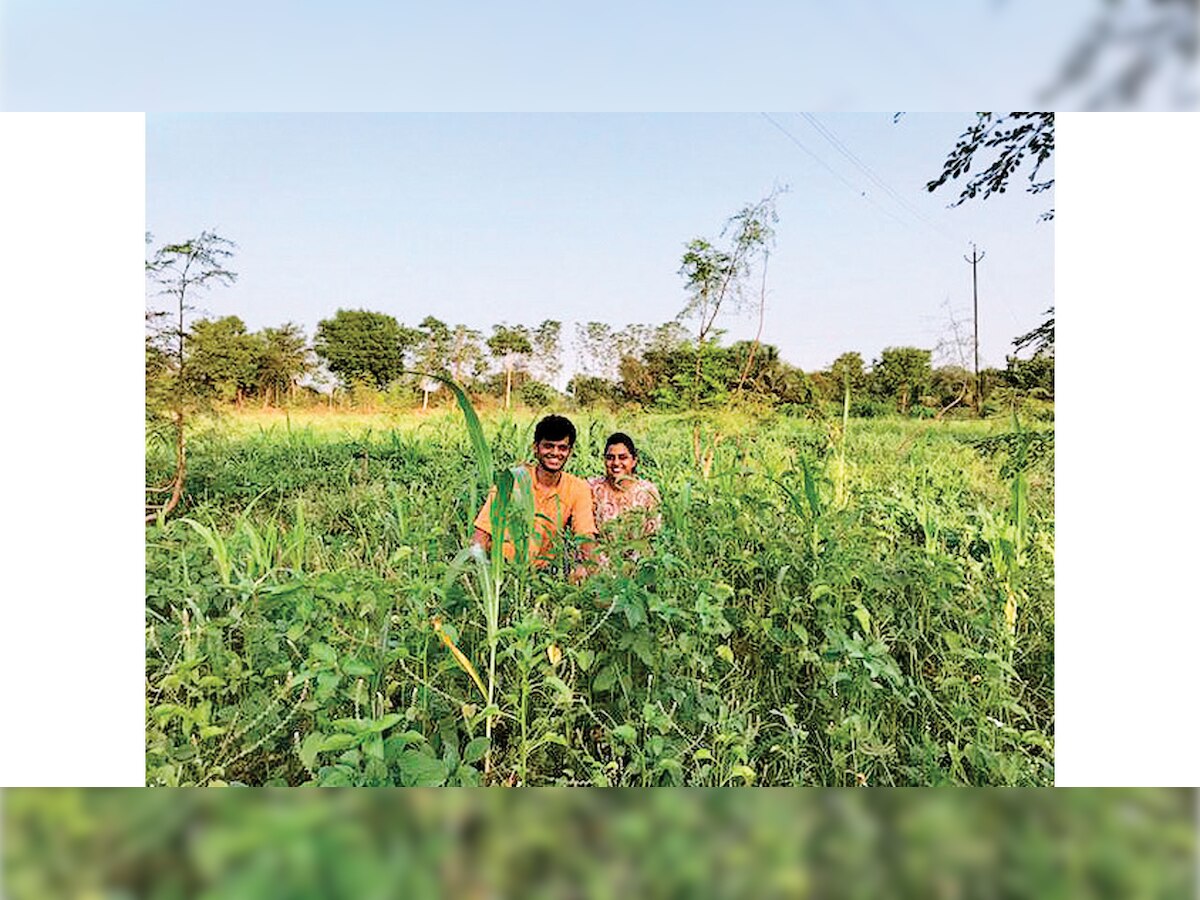 Ahmedabad couple shows how to go 'wasteless'