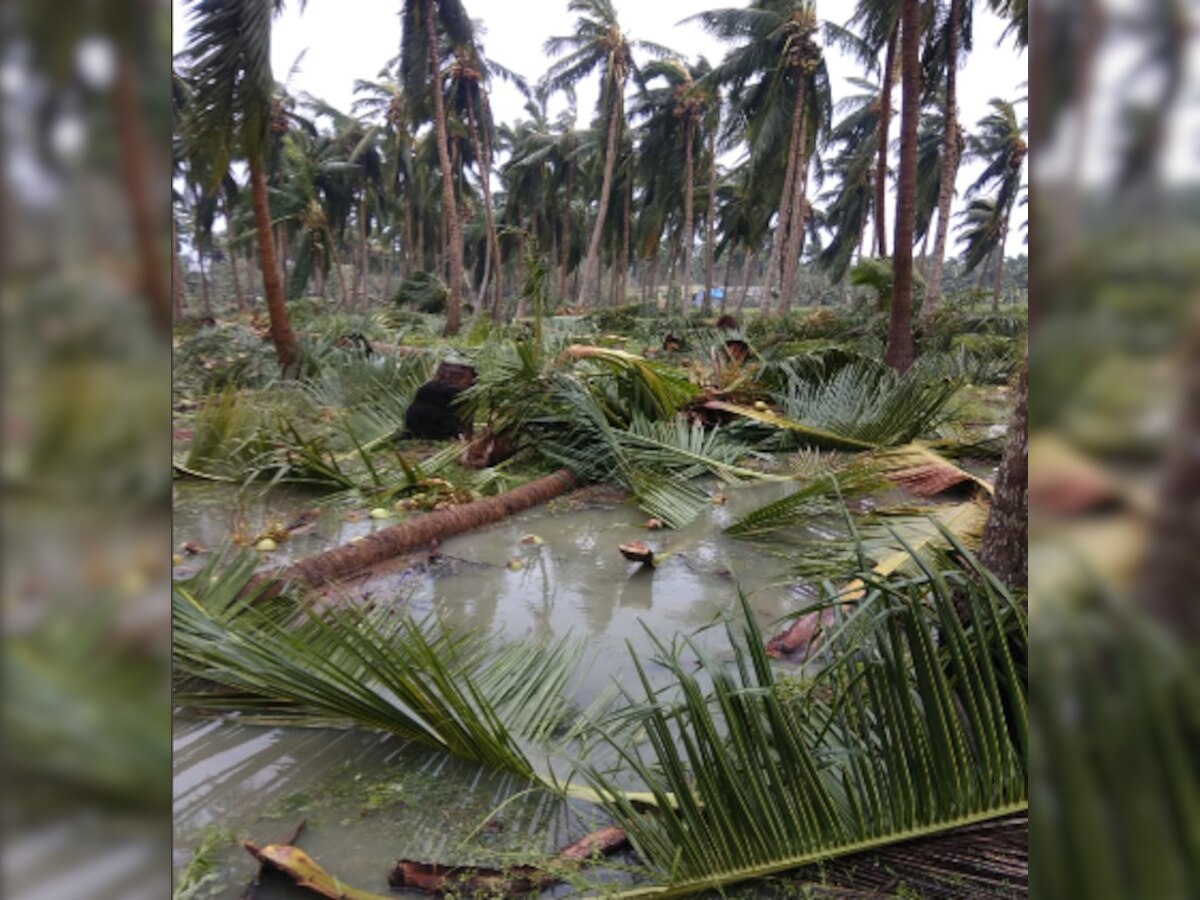 Cyclone Gaja: Over 80000 people evacuated as cyclonic storm brings heavy rains, winds 