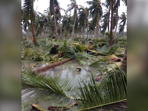 Cyclone Gaja: Over 80000 people evacuated as cyclonic storm brings ...