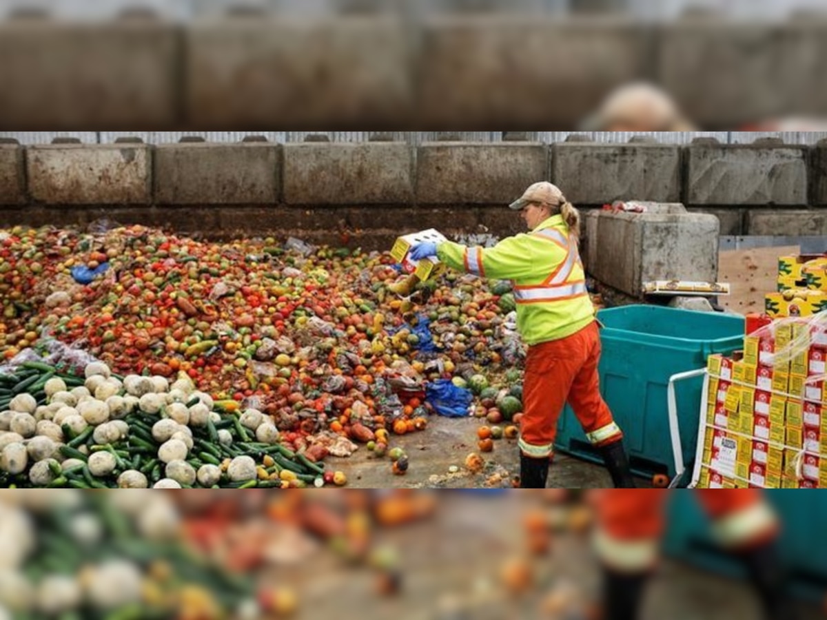 Japan generates electricity by recycling 80 ton per day of food waste 