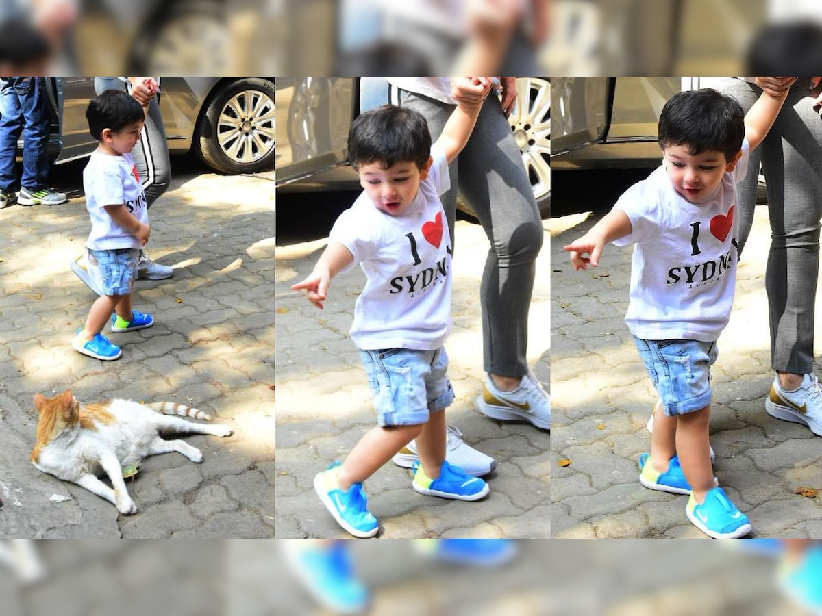 Video: Taimur Ali Khan greets a stray cat with a 'Meow', gets a sweet peck in return from mommy Kareena Kapoor Khan