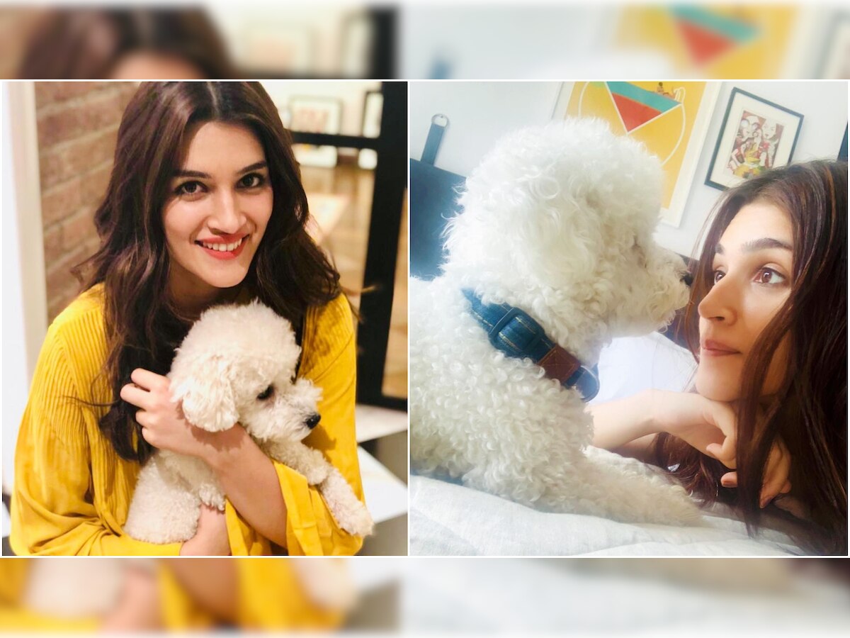 Revealed: This is how Kriti Sanon fell in love with Disco