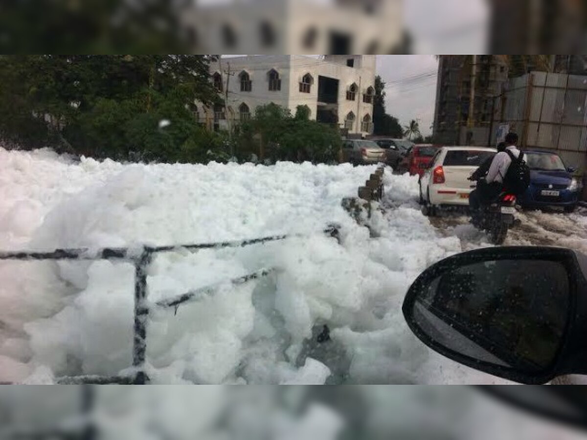 Karnataka government fined for inaction on Bengaluru's foaming, burning Bellandur Lake